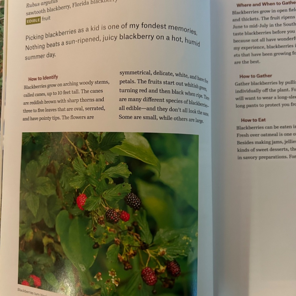 Southeast Foraging Book - Picture 6 of 6